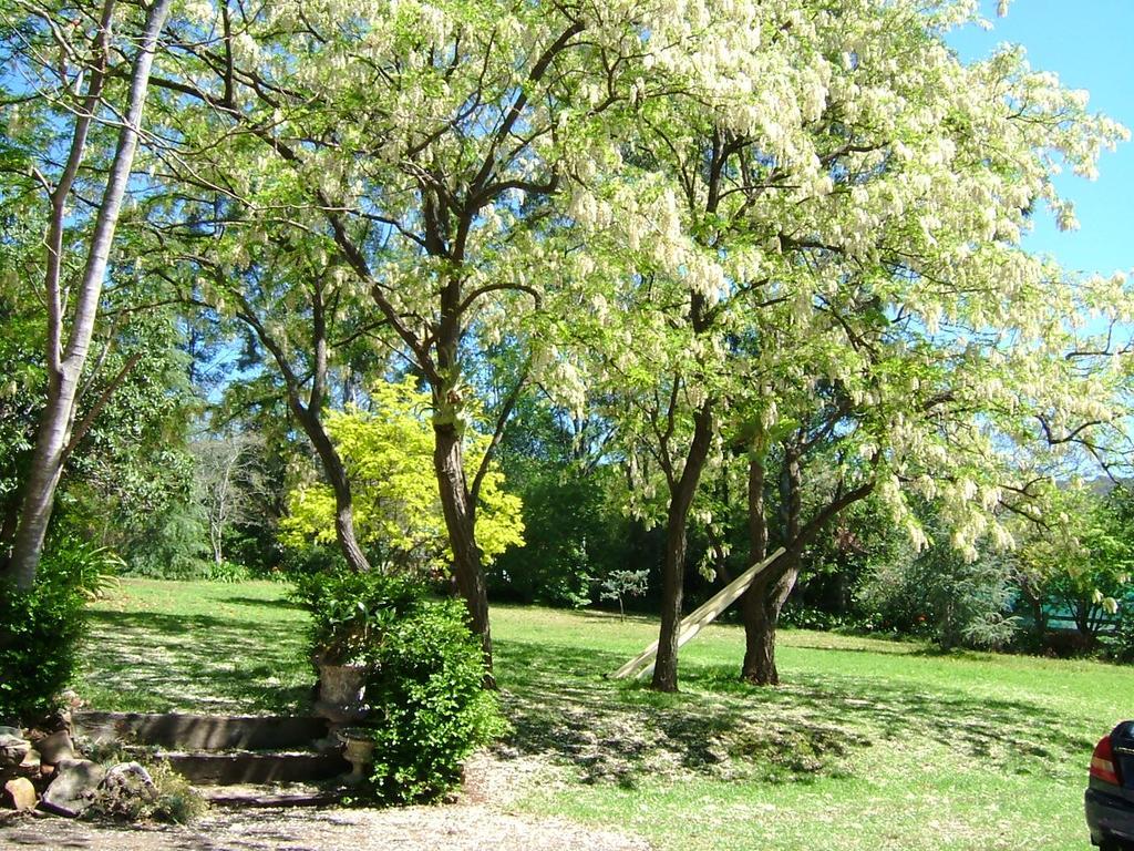 Hermitage Cottage Kurrajong Exterior photo